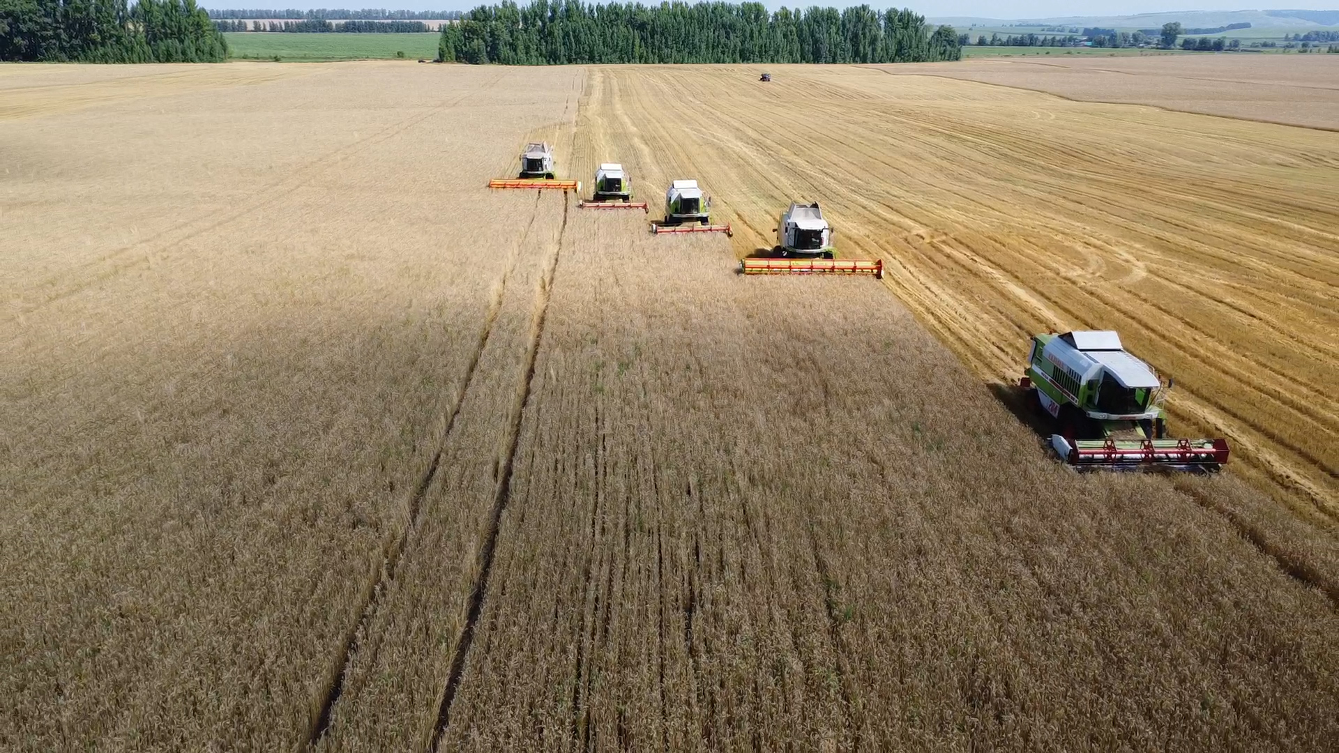 dji_0504_mp4_00_00_04_49_still002