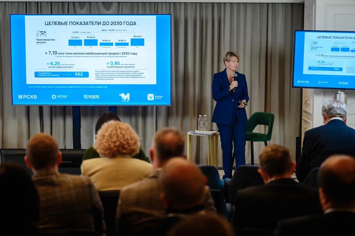 photo_2025-11-17_10-37-03